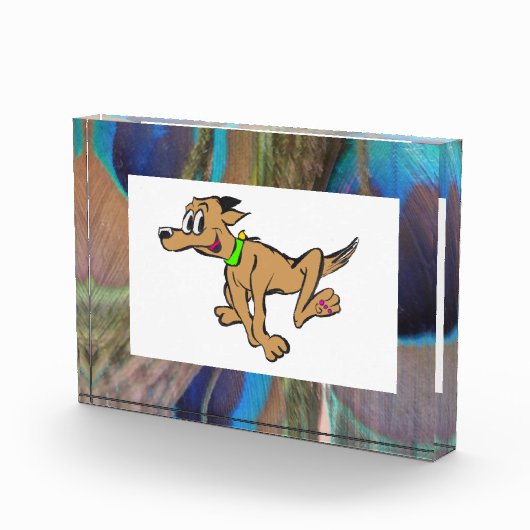 Peacock Feathers Photo Block Fotoblokken (Rechts)