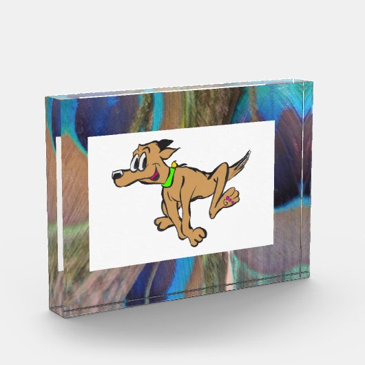 Peacock Feathers Photo Block Fotoblokken (Links)