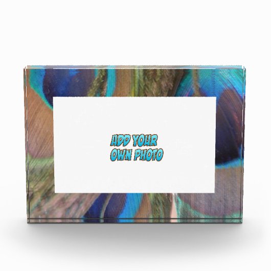 Peacock Feathers Photo Block Fotoblokken (Voorkant)