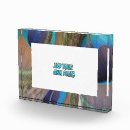 Peacock Feathers  Photo Block Fotoblokken