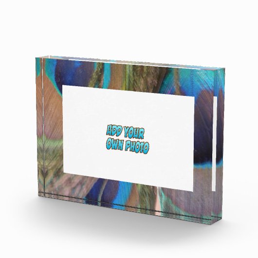 Peacock Feathers Photo Block Fotoblokken (Rechts)