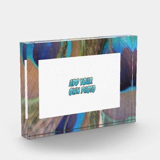 Peacock Feathers  Photo Block Fotoblokken (Links)