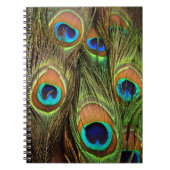 Peacock Feathers Photo Notitieboek (Voorkant)