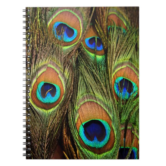 Peacock Feathers Photo Notitieboek (Voorkant)