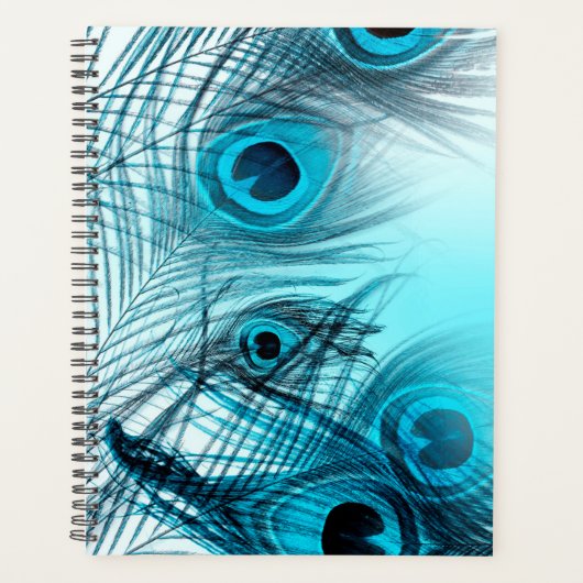 Peacock Feathers Planner (Voorkant)