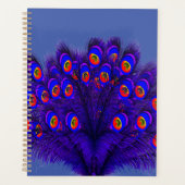 Peacock Feathers Planner (Voorkant)