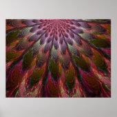 Peacock Feathers Poster (Voorkant)