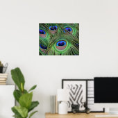 Peacock Feathers Poster (Thuiskantoor)