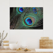 Peacock Feathers Poster -36x24 - kleiner beschikba (Keuken)