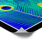 Peacock Feathers Poster Print (Hoek)