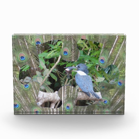 Peacock feathers Puzzle Piece Block Fotoblokken (Voorkant)