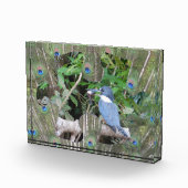 Peacock feathers Puzzle Piece Block Fotoblokken (Rechts)