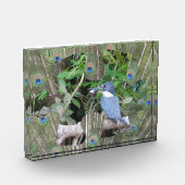 Peacock feathers Puzzle Piece Block Fotoblokken (Links)