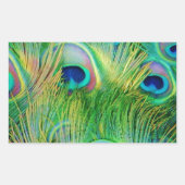 Peacock Feathers Rechthoekige Sticker (Voorkant)