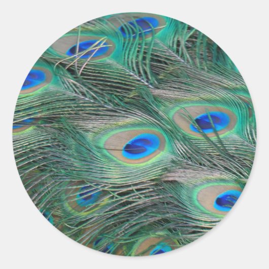 Peacock Feathers Ronde Sticker (Voorkant)