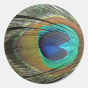 Peacock Feathers Ronde Sticker