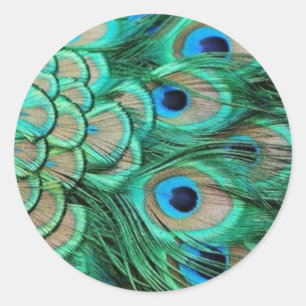 PEACOCK FEATHERS RONDE STICKER