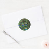 Peacock Feathers Ronde Sticker (Envelop)
