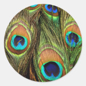 Peacock Feathers Round Stickers (Voorkant)