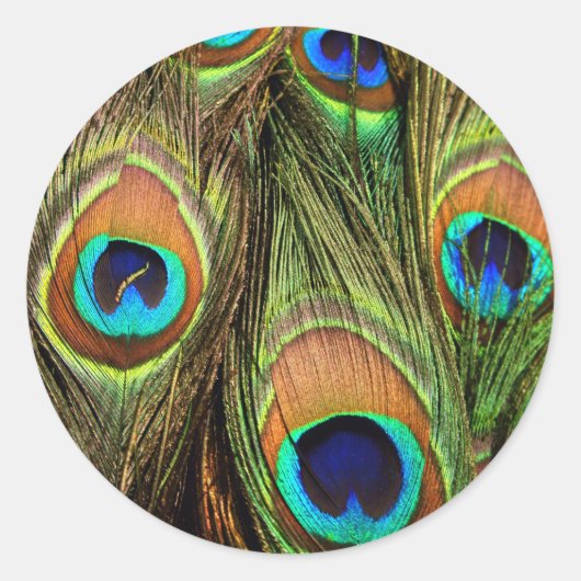 Peacock Feathers Round Stickers (Voorkant)
