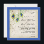 Peacock Feathers Royal Blue Wedding Invitation Kaart<br><div class="desc">Dit is een eigentijdse, moderne, verfijnde uitnodiging. Met gestileerde, handgekleurde pauwenveren, op een met de hand beschilderde kant en perkamentachtergrond met delicate wervelingen en bloeit in bruine kleur en uw keuze van achtergrondrandkleur, hier weergegeven in koningsblauw. Elk item kan worden ontworpen in deze collectie stijl. Ontworpen en met de hand...</div>