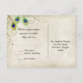 Peacock Feathers RSVP Response Briefkaarten (Achterkant)