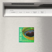 Peacock Feathers Save the Date Magnet (Insitu (Vaatwasser))