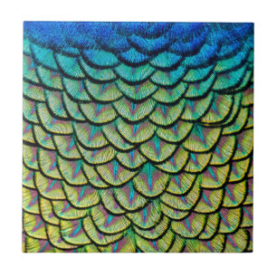 Peacock Feathers sluiten op in Art Deco Pattern Tegeltje