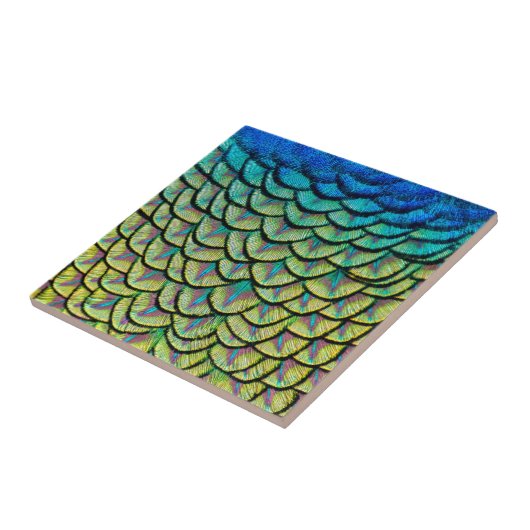 Peacock Feathers sluiten op in Art Deco Pattern Tegeltje (Zijkant)