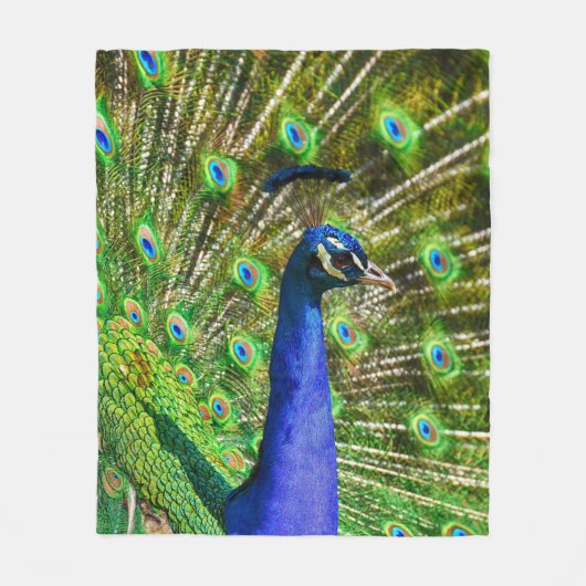 Peacock Feathers Soft Fleece Deken (Voorkant)