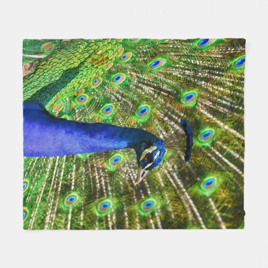 Peacock Feathers Soft Fleece Deken (Voorkant (Horizontaal))