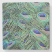 Peacock Feathers Stenen Onderzetter (Voorkant)