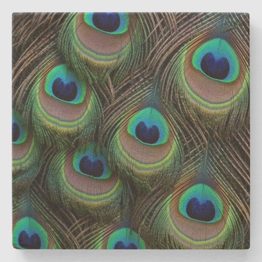 Peacock Feathers Stone Onderzetter (Voorkant)
