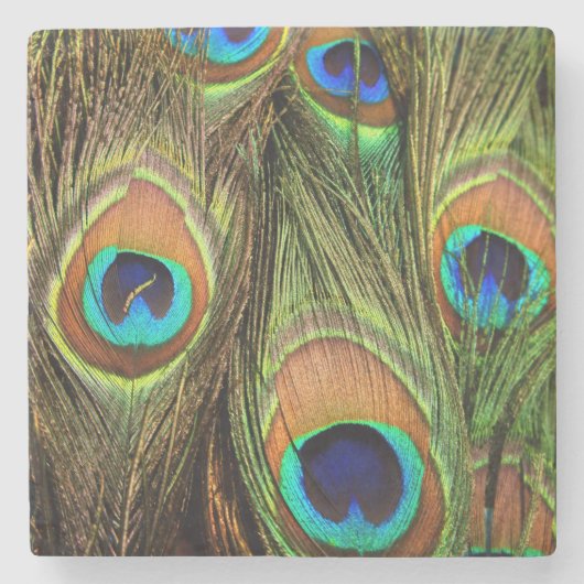 Peacock Feathers Stone Onderzetter (Voorkant)