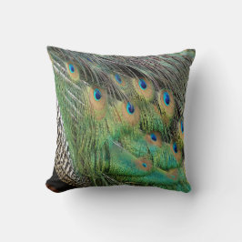 Peacock Feathers Tan Green and blue Colors Kussen