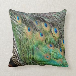 Peacock Feathers Tan Green and blue Colors Kussen