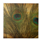 Peacock Feathers Tegeltje (Voorkant)