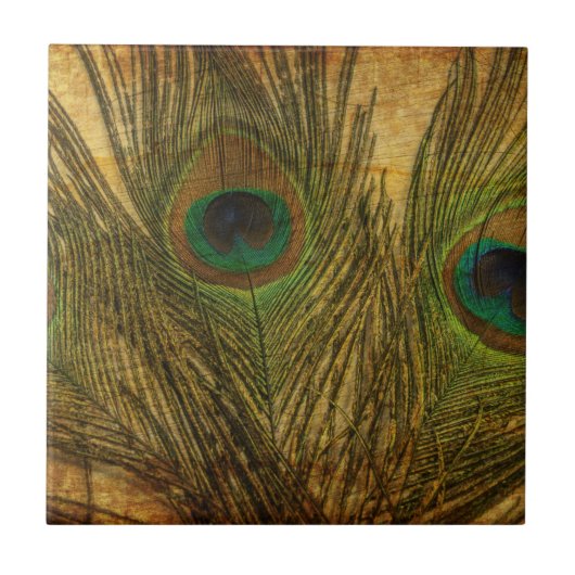 Peacock Feathers Tegeltje (Voorkant)