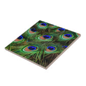 Peacock Feathers Tegeltje (Zijkant)
