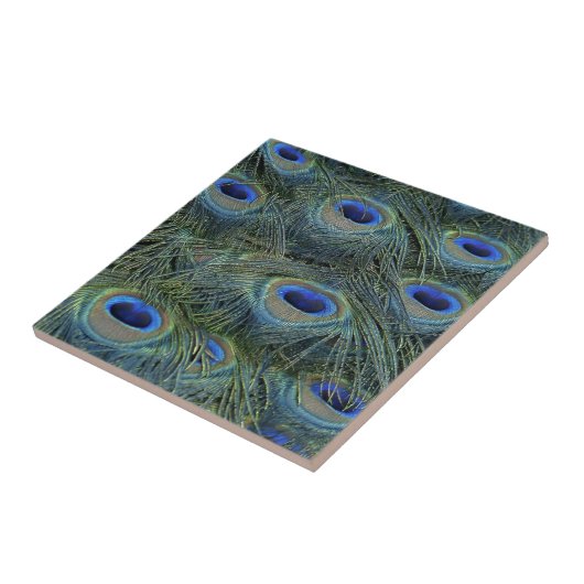 Peacock Feathers Tegeltje (Zijkant)