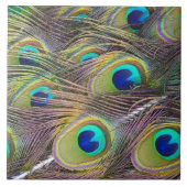Peacock Feathers Tegeltje (Voorkant)