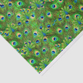 Peacock Feathers Tissue giftwrap Tissuepapier (Detail)