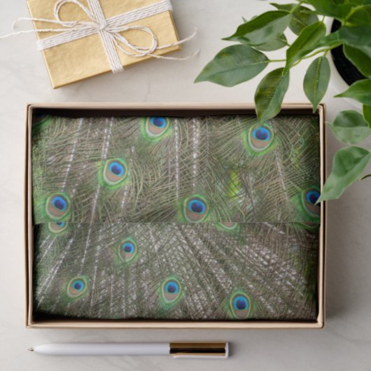 Peacock Feathers Tissuepapier (Geschenk)