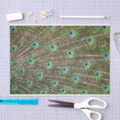 Peacock Feathers Tissuepapier (Craft)