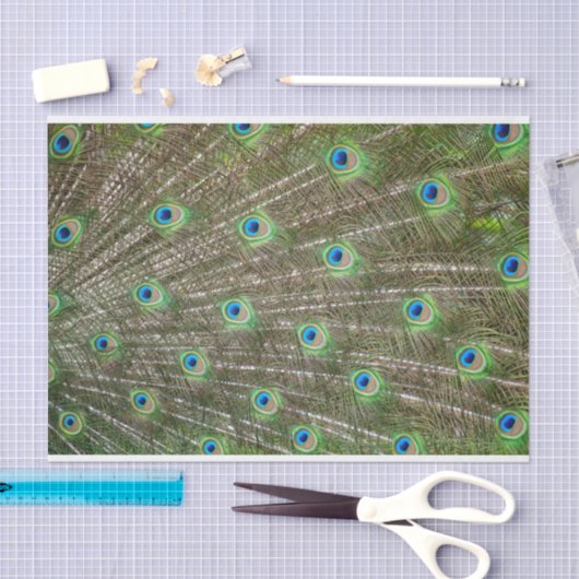 Peacock Feathers Tissuepapier (Craft)