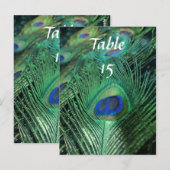 Peacock Feathers Trouwtafelnummers Briefkaart (Voorkant / Achterkant)