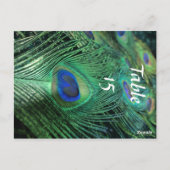 Peacock Feathers Trouwtafelnummers Briefkaart (Achterkant)