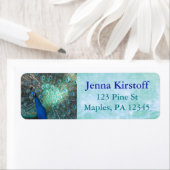 Peacock Feathers Turquoise retour adreslabels Etiket (Insitu)