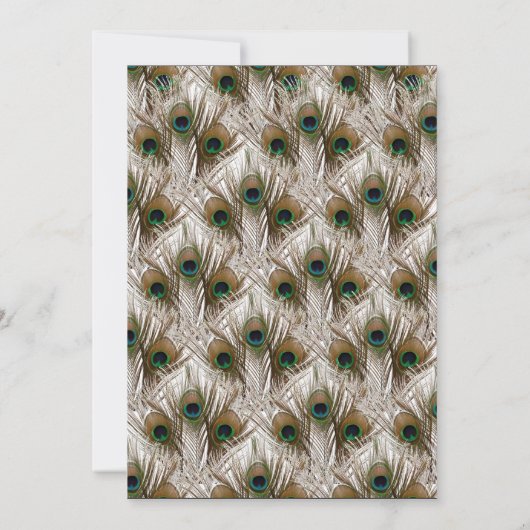Peacock Feathers Uitnodiging tot het indienen van  (Achterkant)