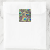 Peacock Feathers Vierkante Sticker (Tas)